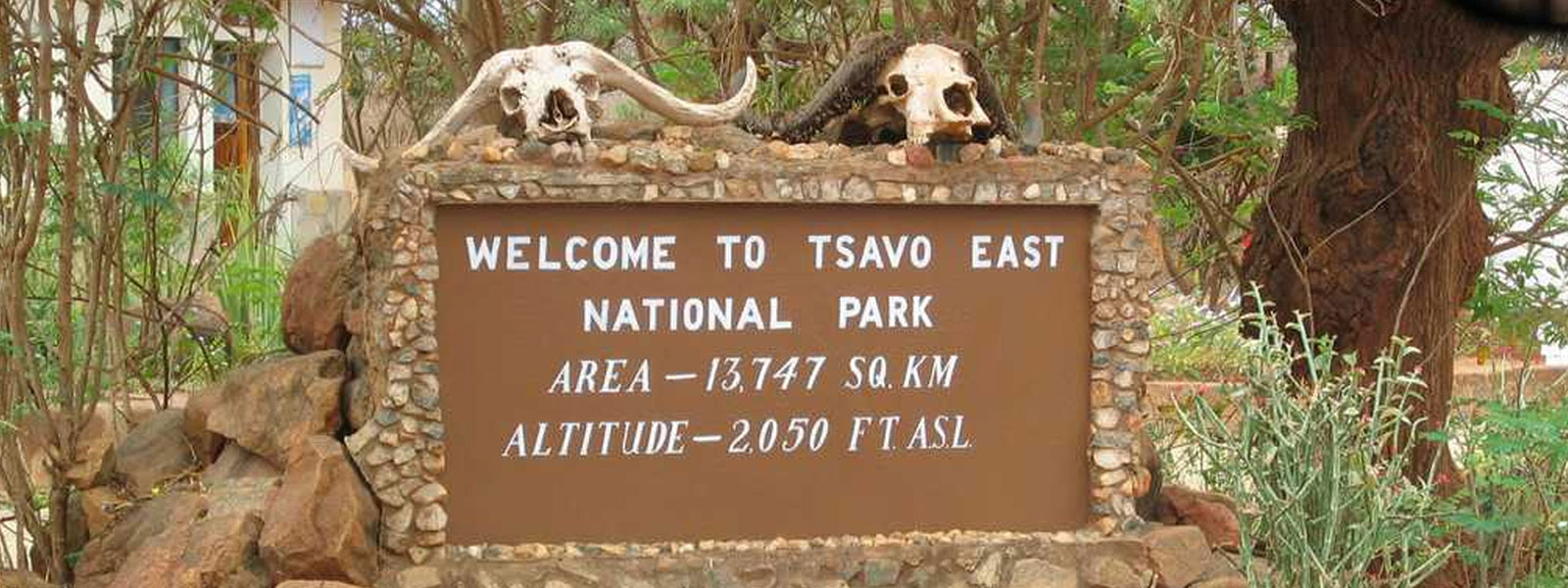 Image result for tsavo national park