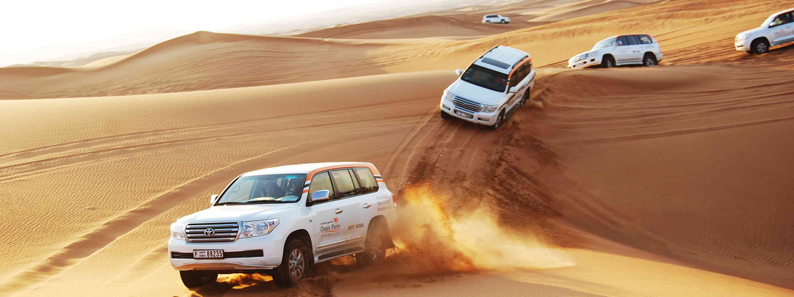 Dubai Desert Safari by Tour Plan Ltd